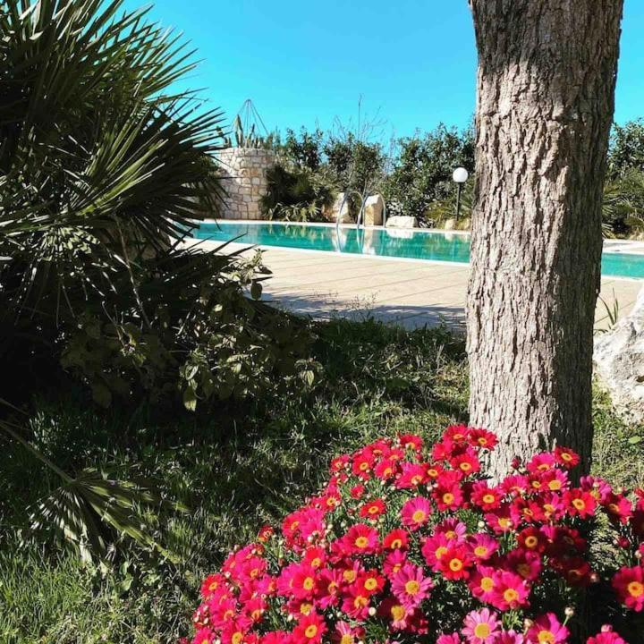 Pugliaholidayplus - Villa Cassano Polignano a Mare Bagian luar foto